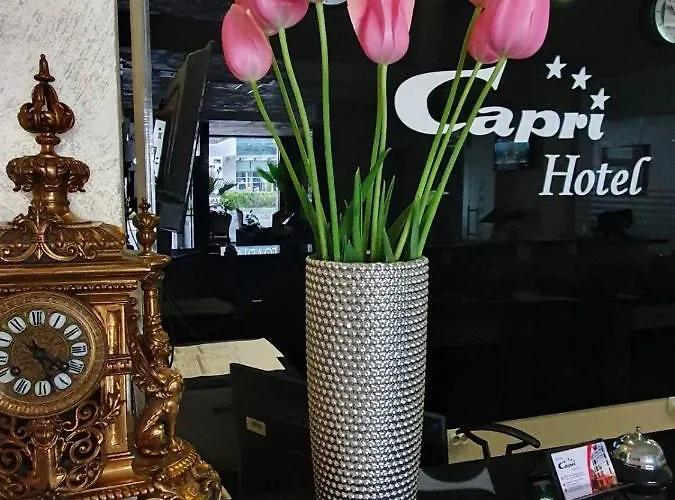 Capri 普罗夫迪夫